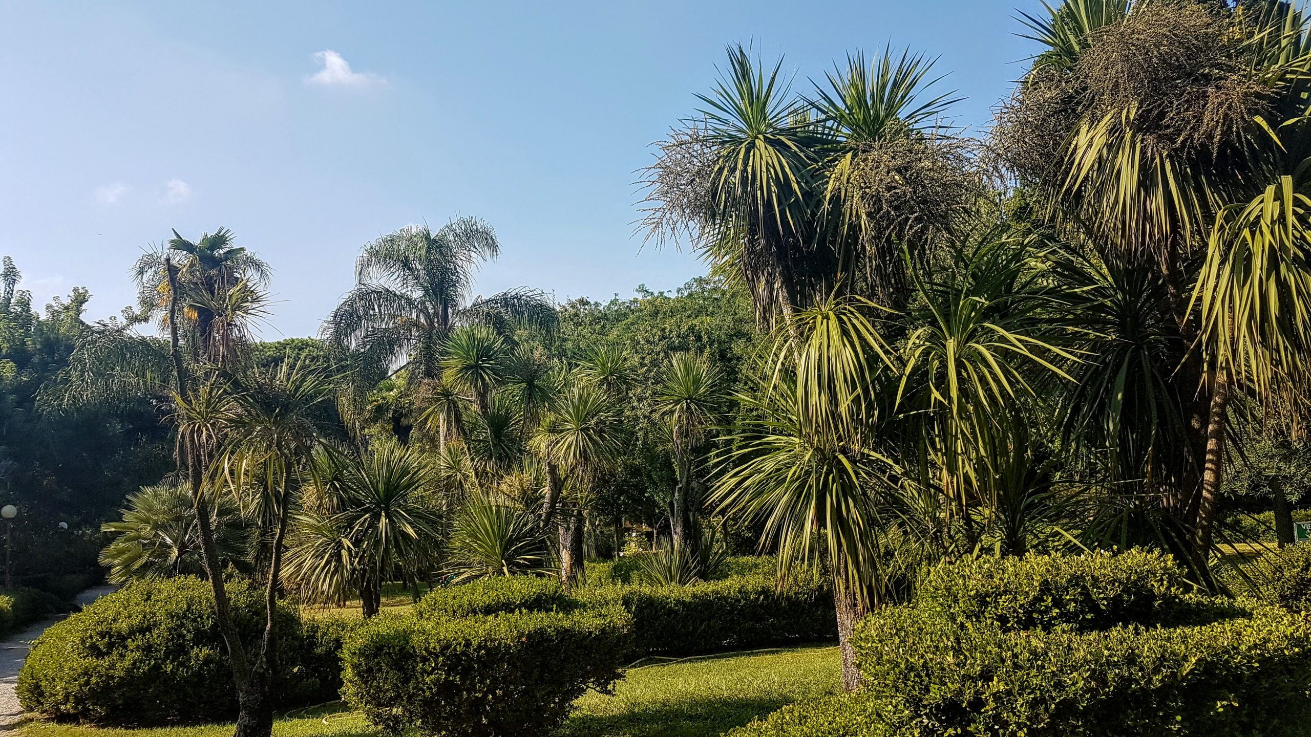 20180914 161147 scaled