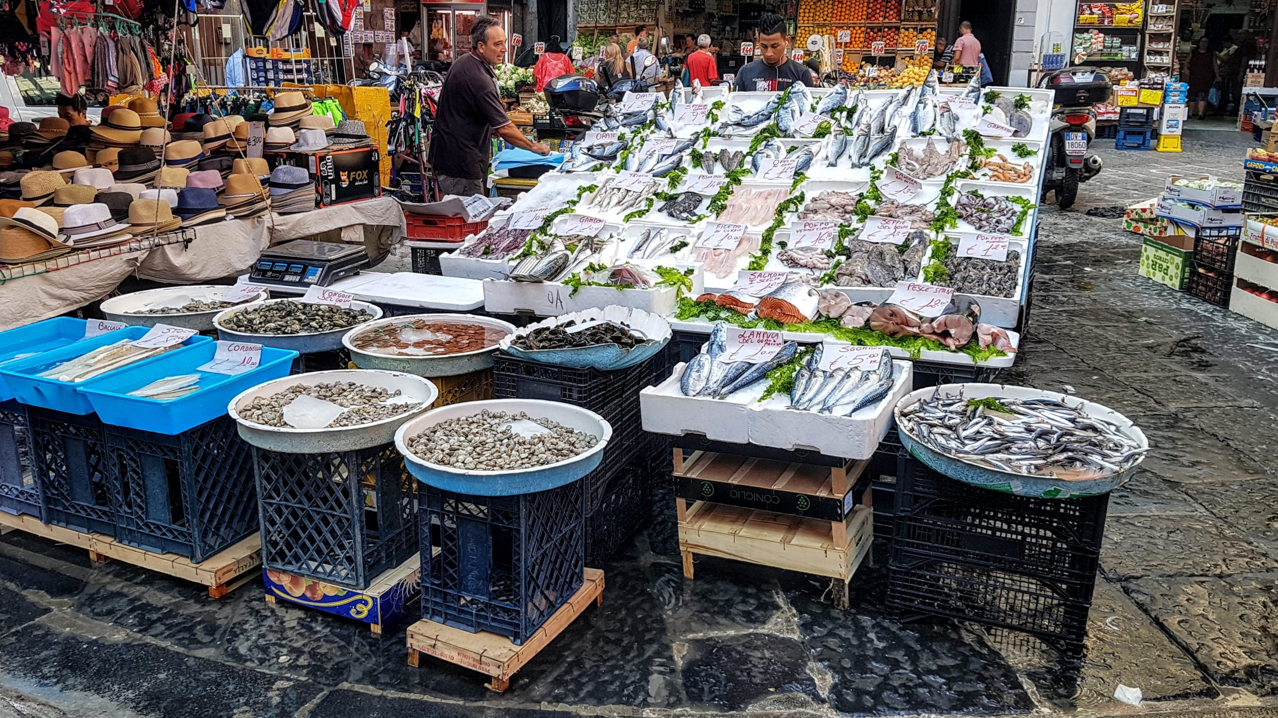 20180915 101520 scaled