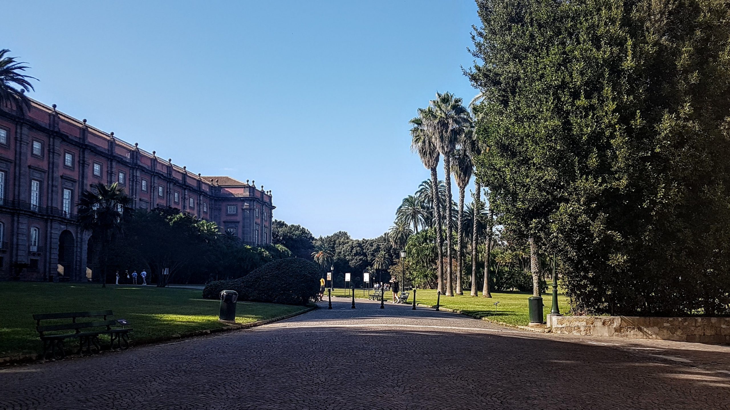 20180915 155636 scaled