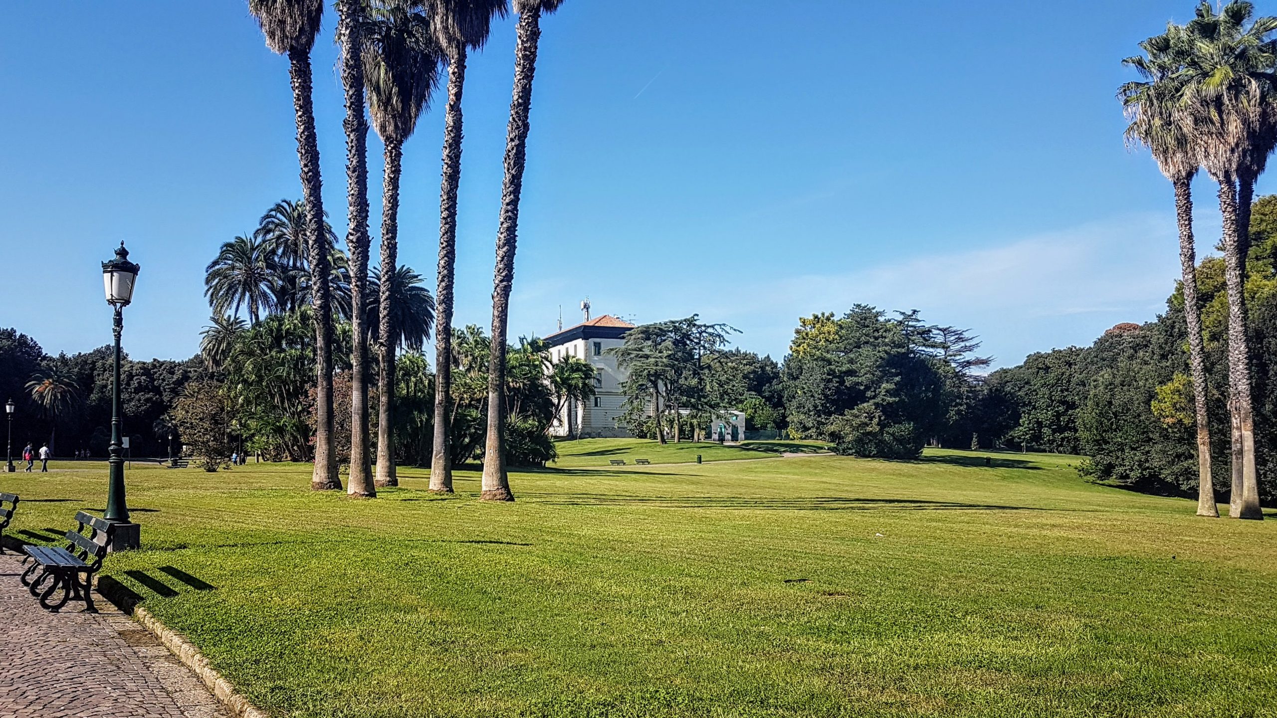 20180915 155706 scaled