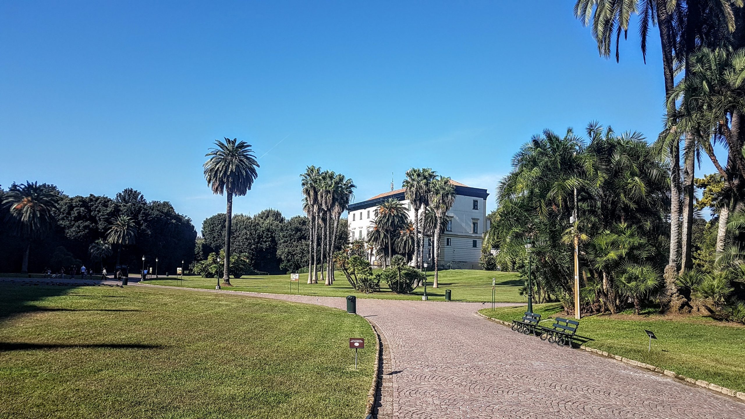 20180915 155853 scaled