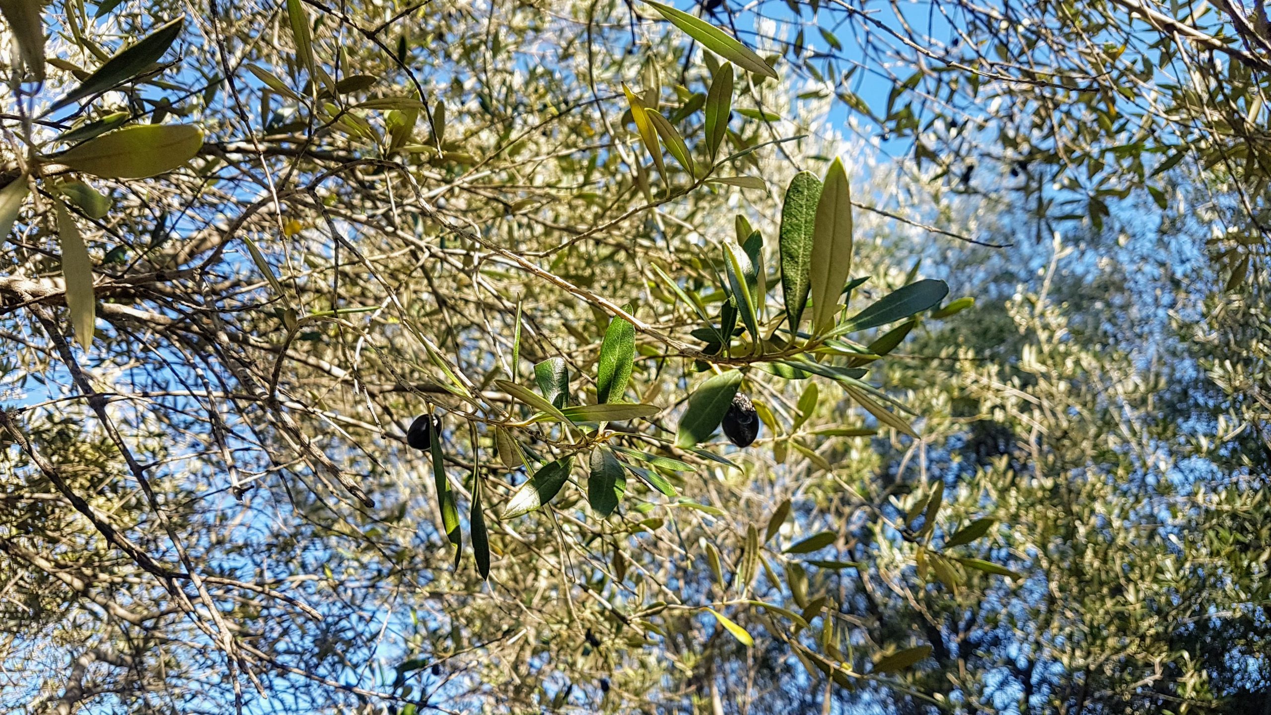 20200103 140422 scaled