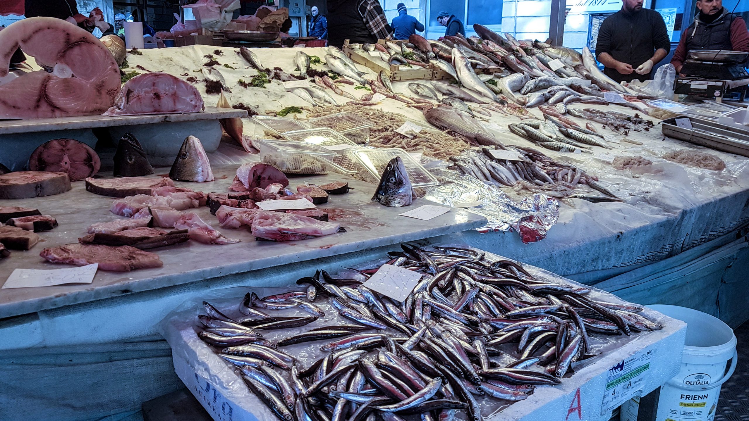 20200104 131825 scaled