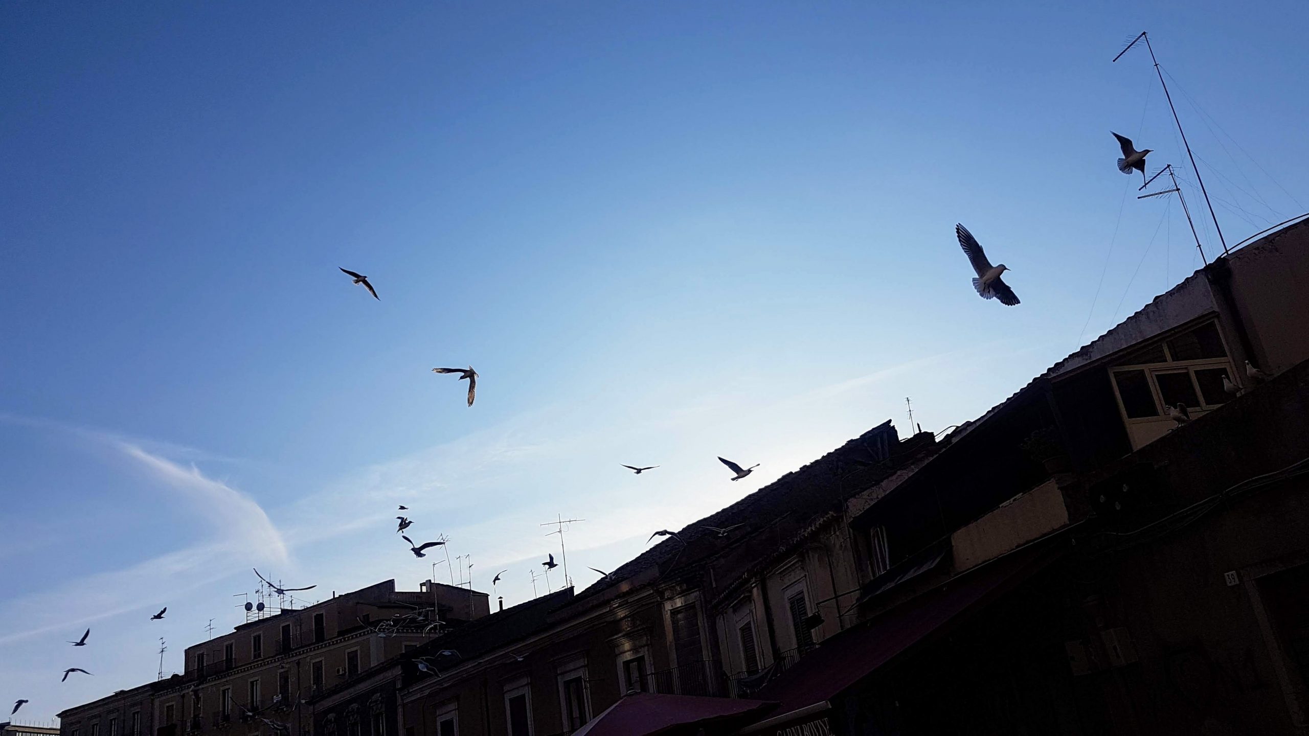 20200104 154756 scaled