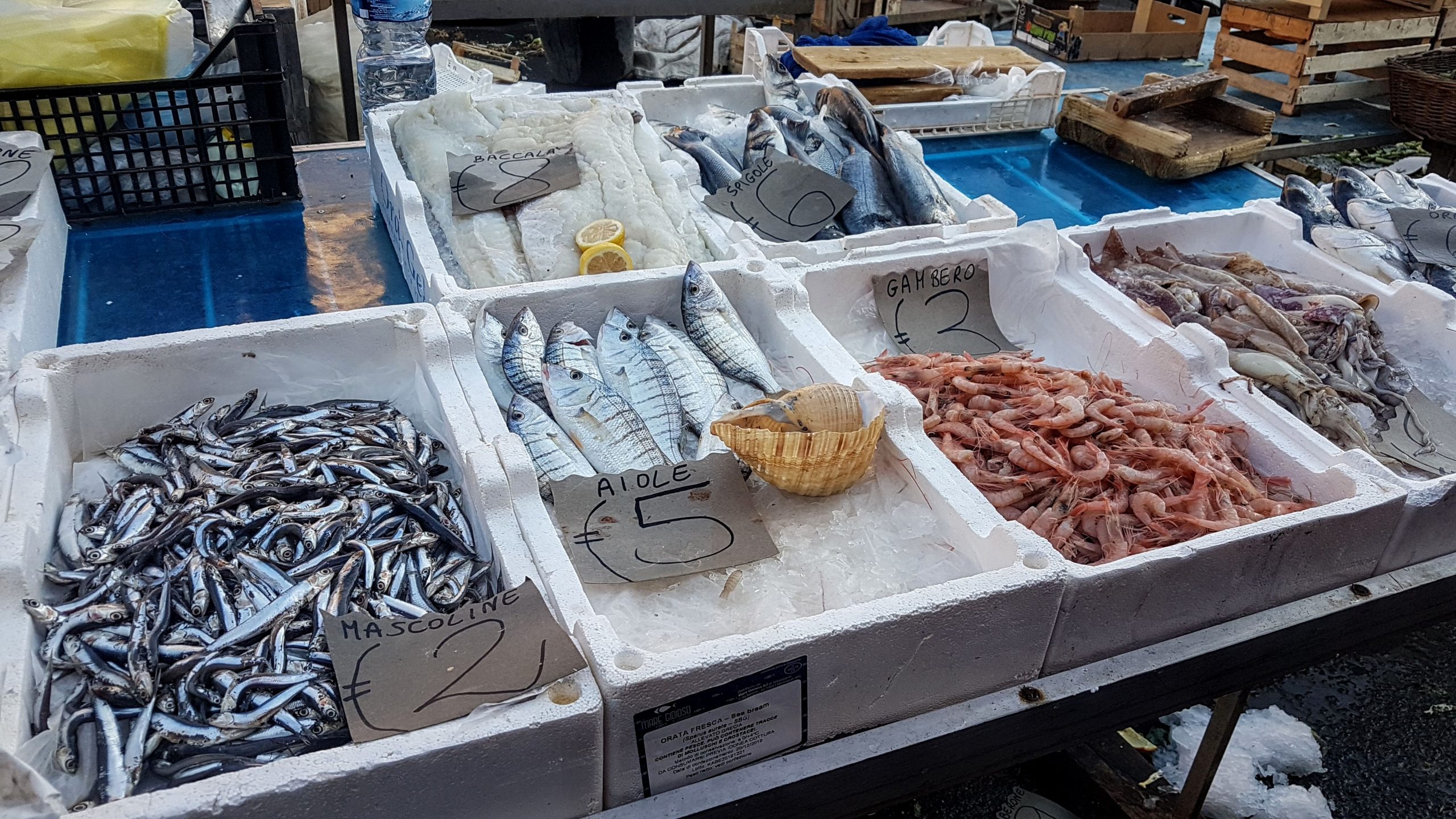 20200104 155129 scaled