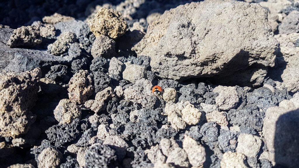 20200106 112428 scaled