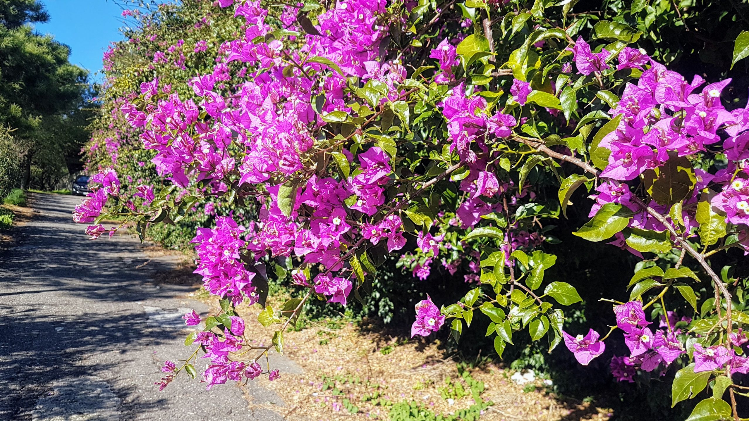 20200107 1332460 scaled