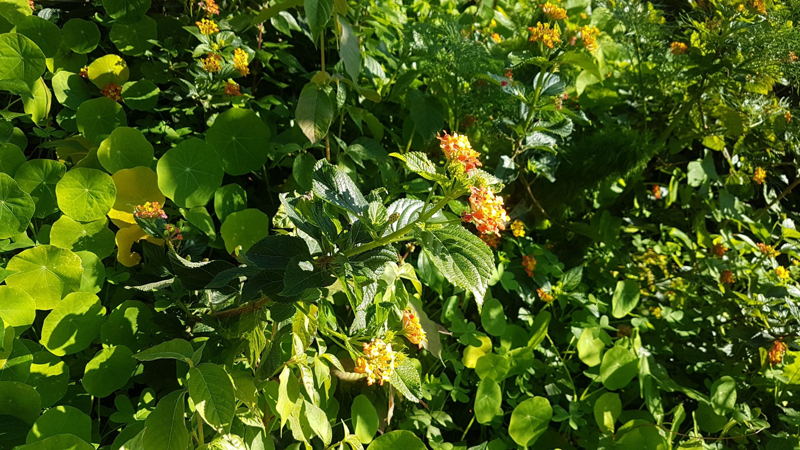 20200107 135903 scaled