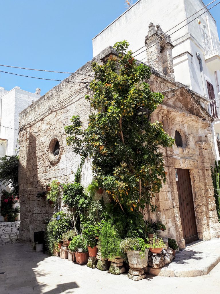 20170720 132858 1 scaled