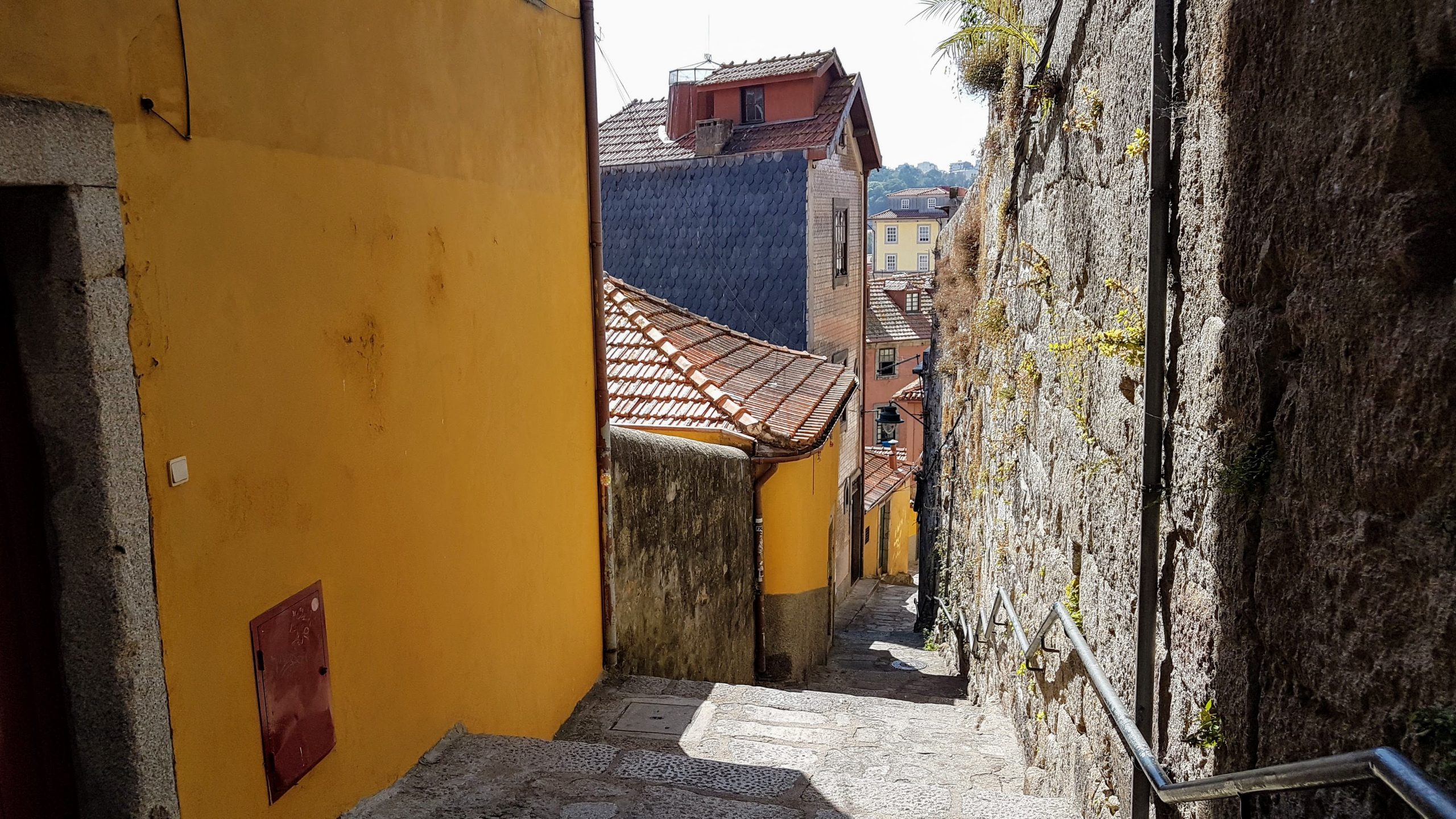 20170925 145832 scaled