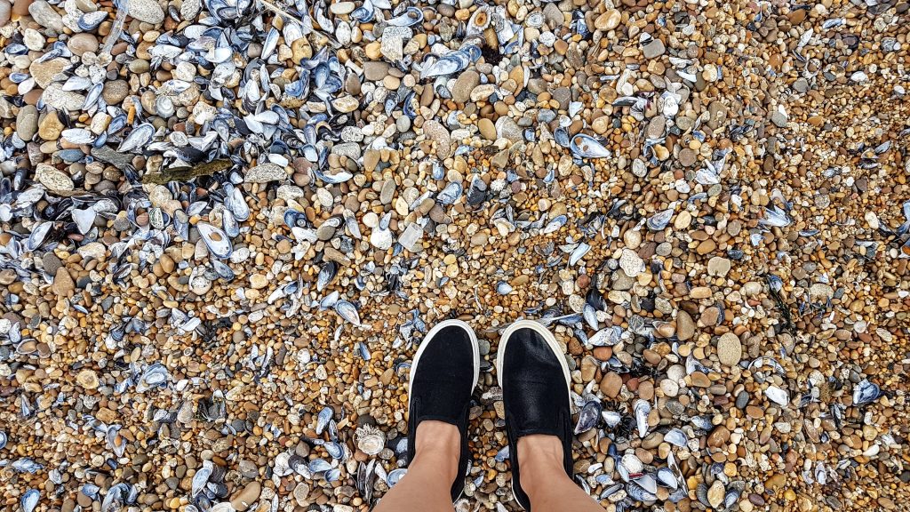 20170926 121031 scaled