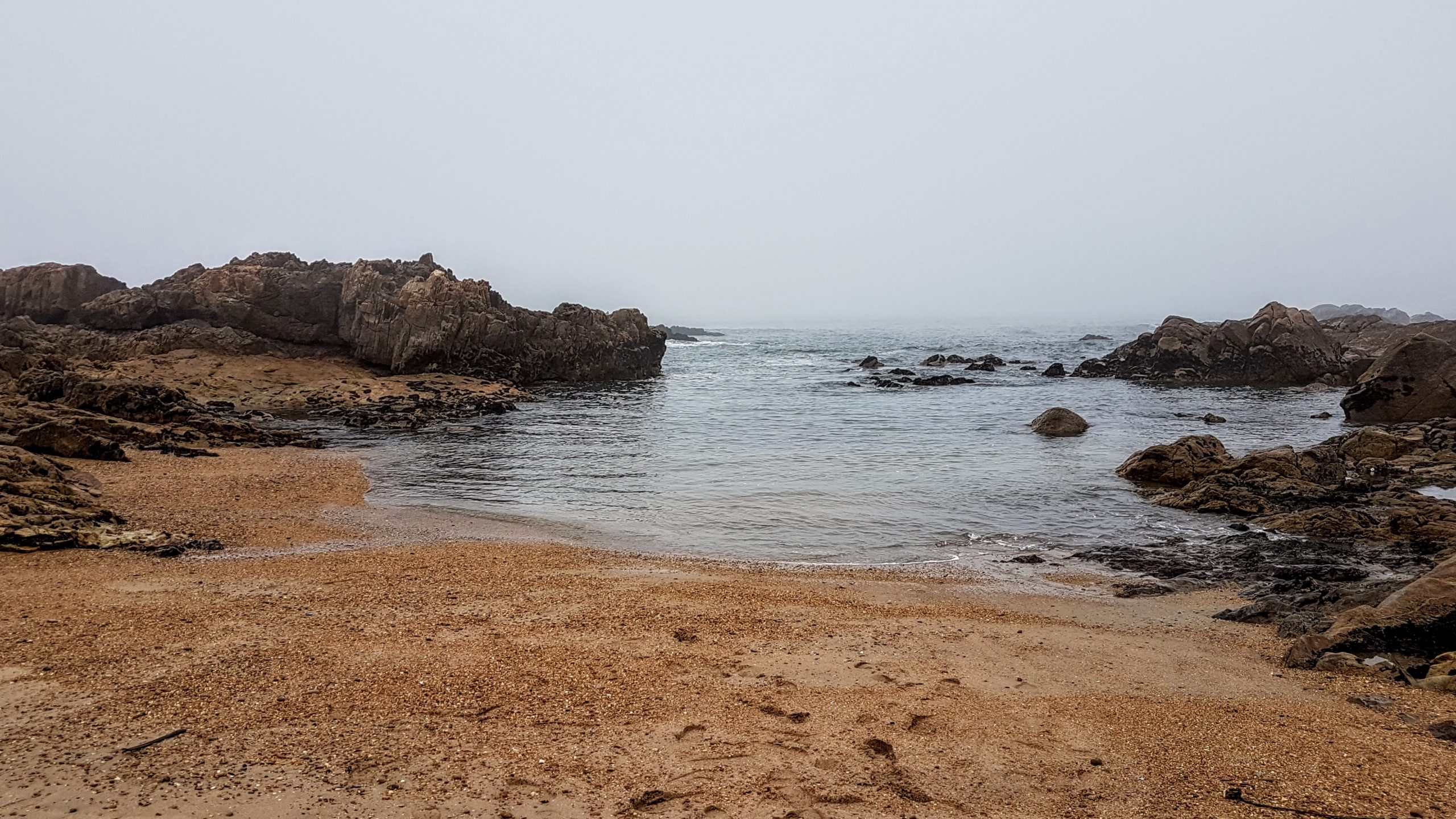 20170926 121058 scaled