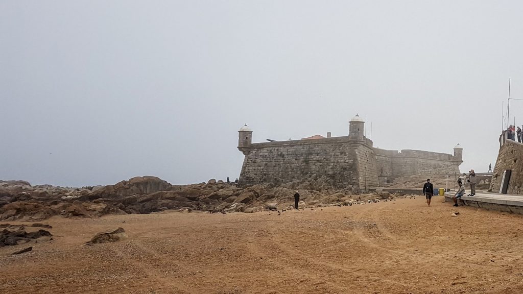 20170926 122543 scaled