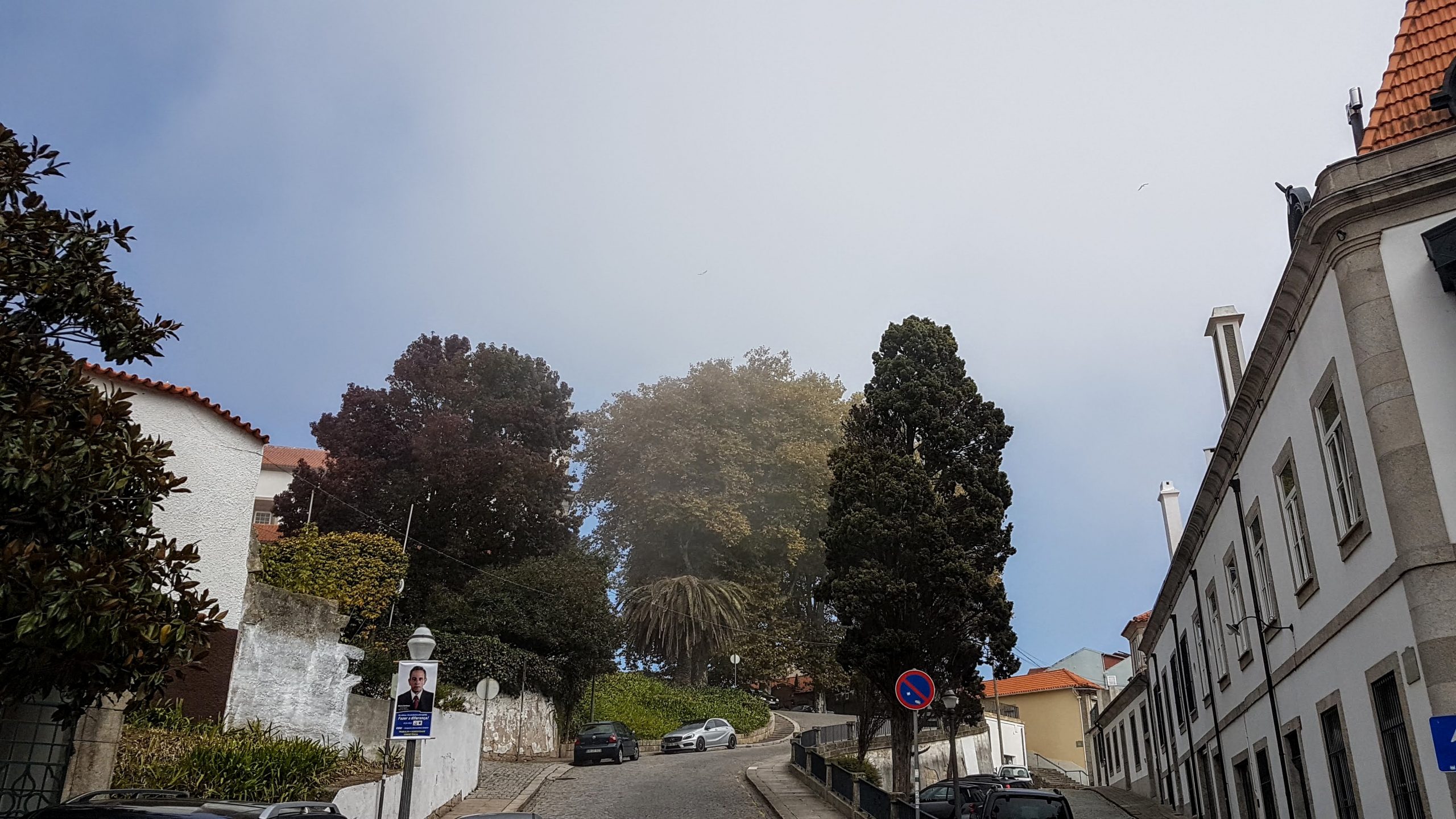 20170926 145356 scaled