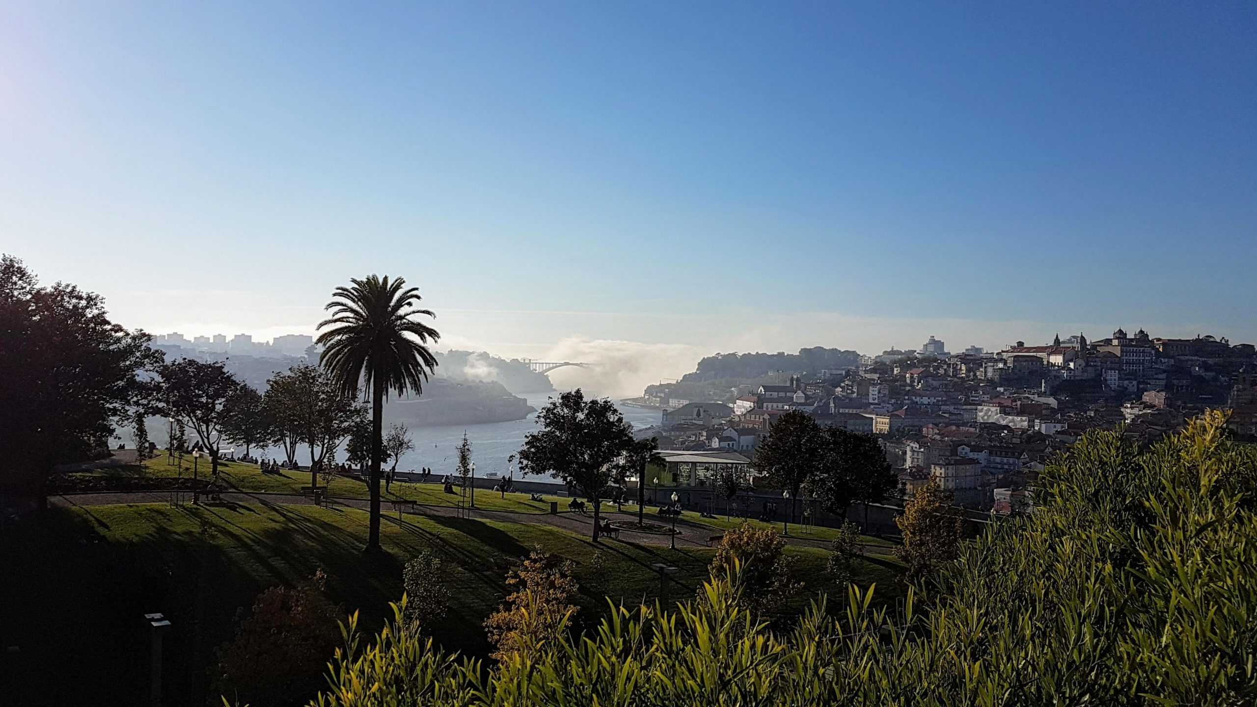 20170926 175643 scaled