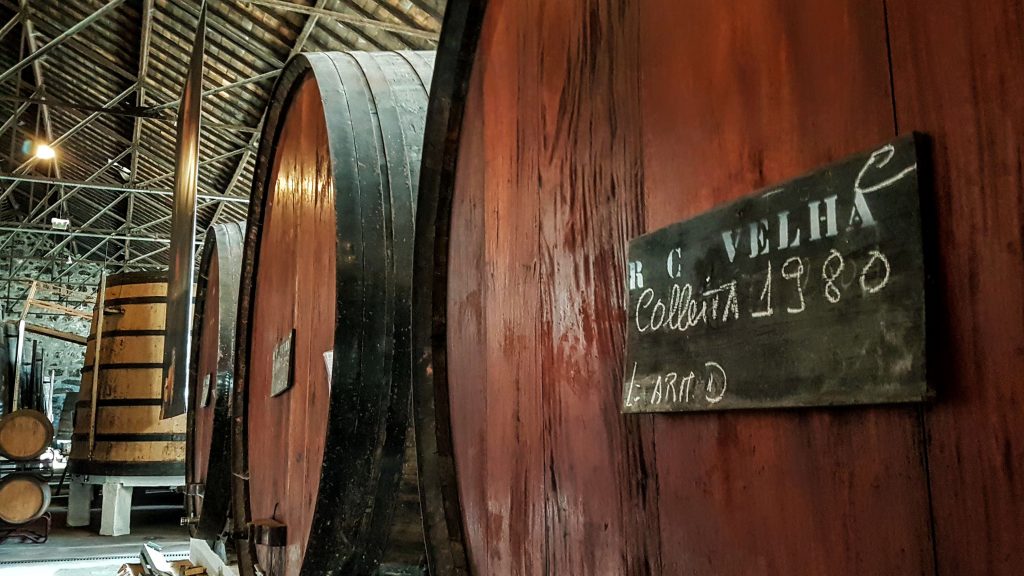 20170928 165659 001 scaled