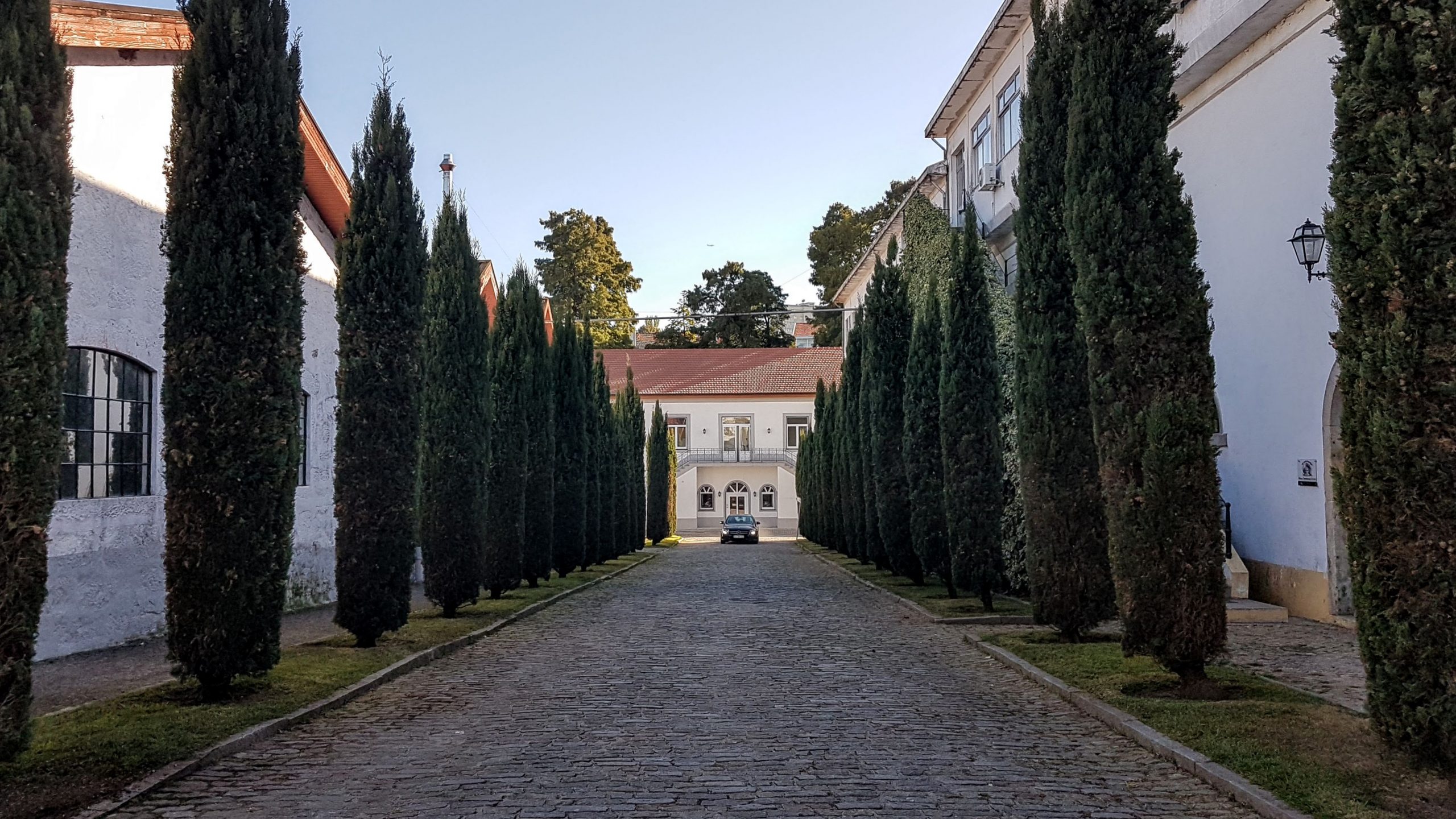 20170928 165943 scaled