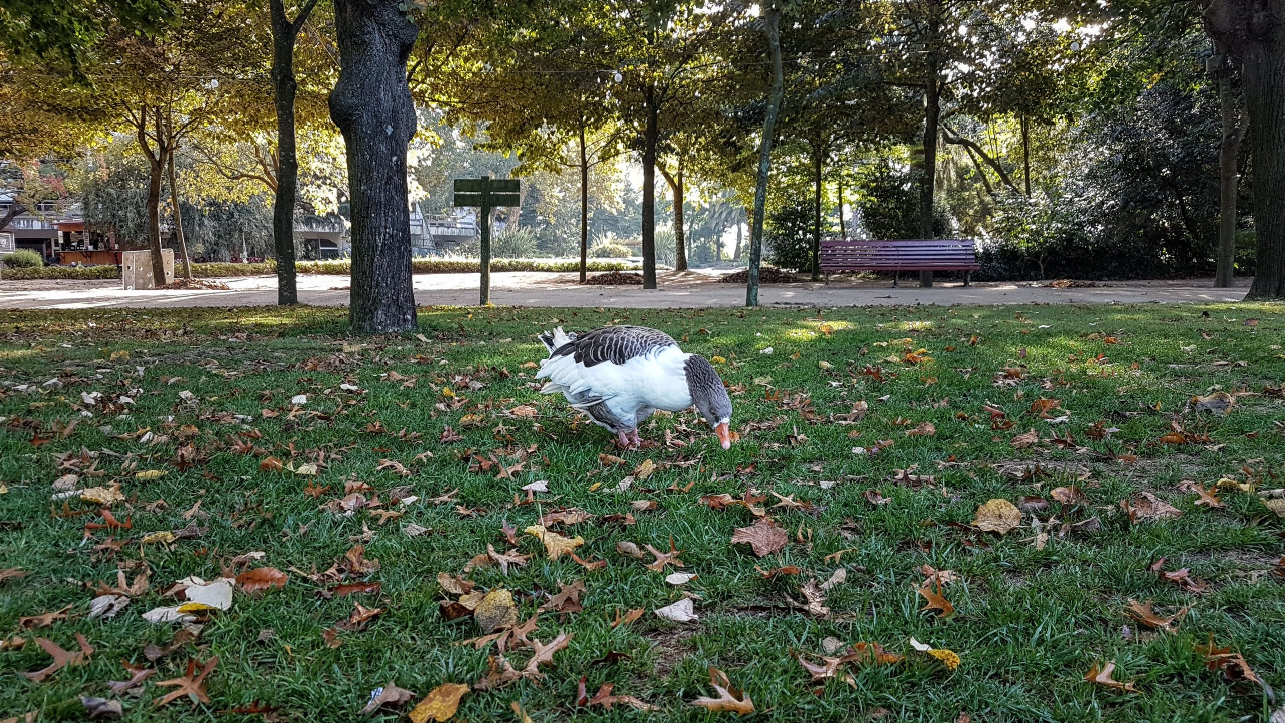 20170929 092332 scaled