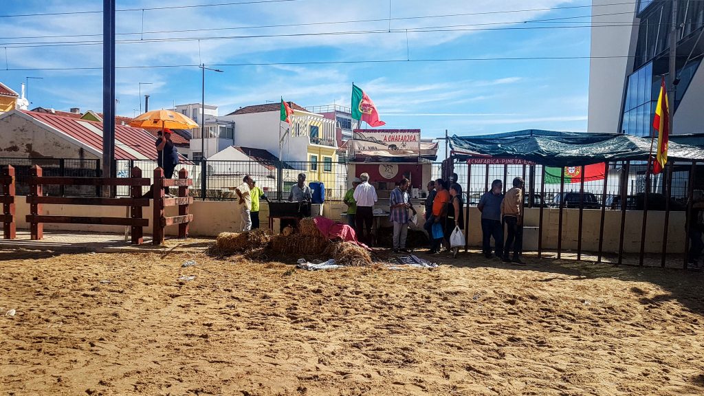 20191007 131332 2 scaled