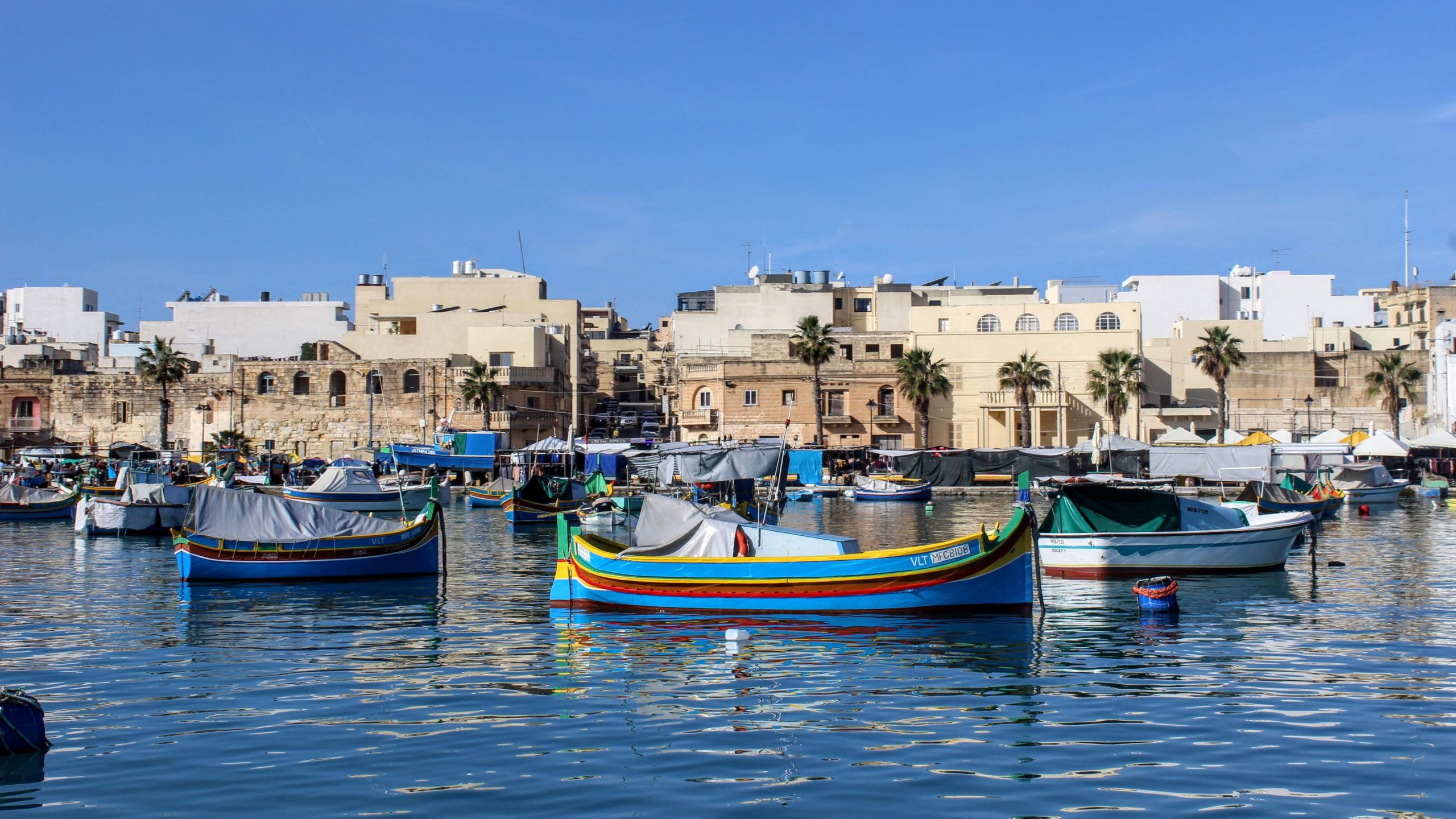 shutterstock 1589446033 kopia scaled